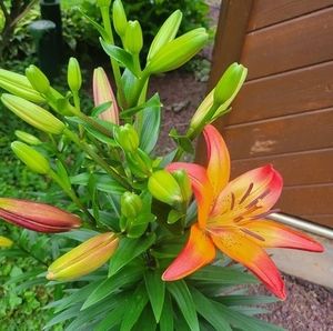 Meet your Posher, Joe